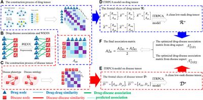 ITRPCA: a new model for computational drug repositioning based on improved tensor robust principal component analysis